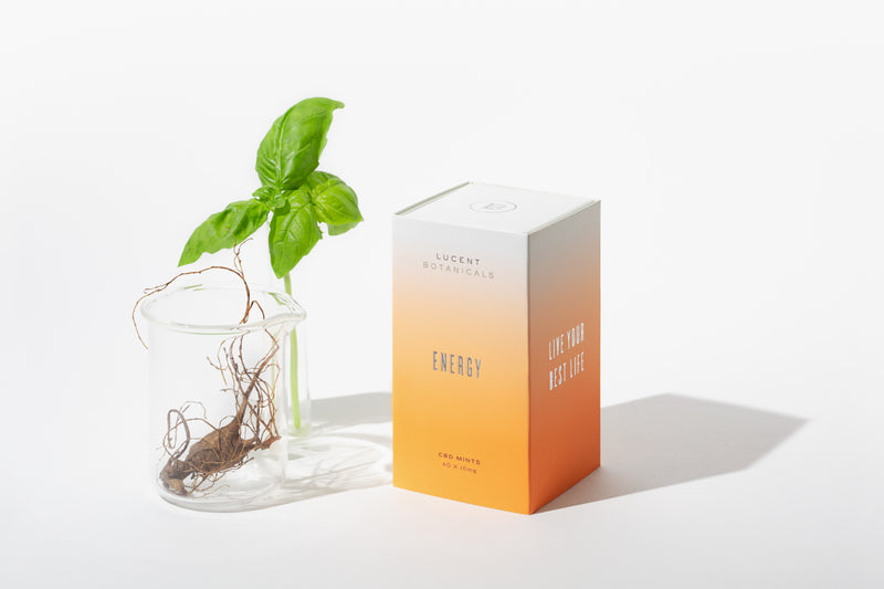 Energy CBD Mints with herbs